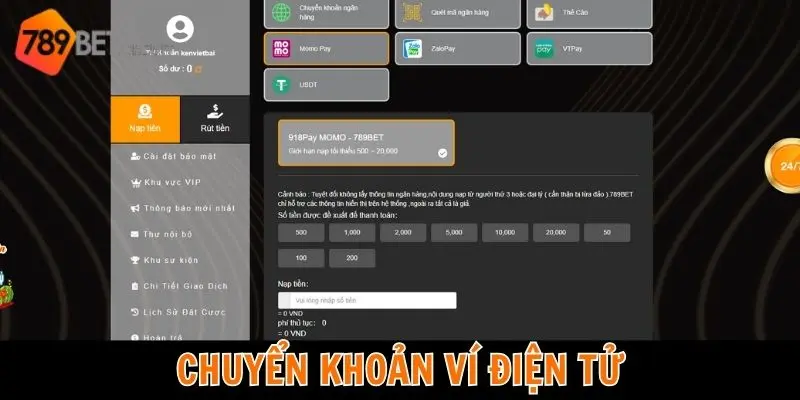 Hướng dẫn nạp ví điện tử cực nhanh