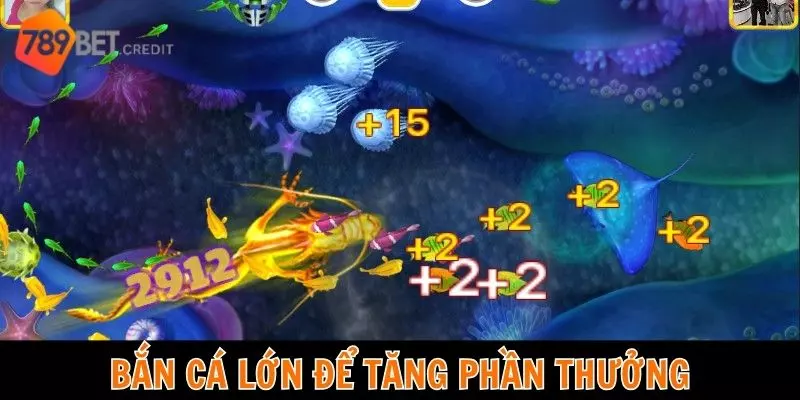 Bắn cá lớn để tăng phần thưởng