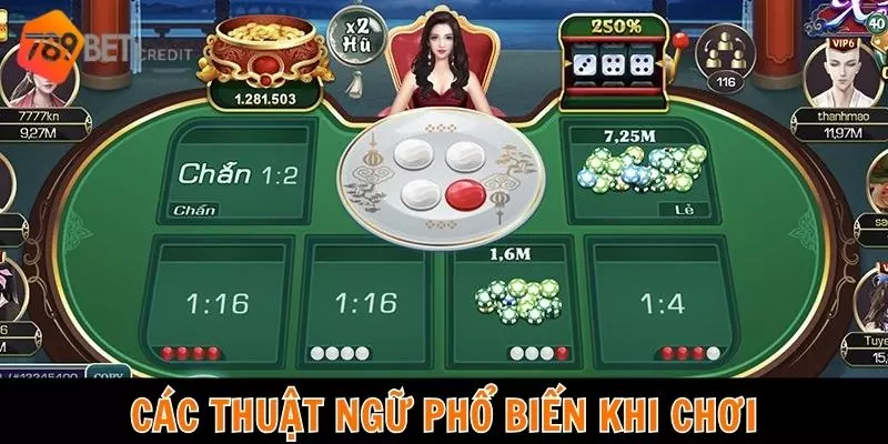 Các thuật ngữ phổ biến khi chơi xóc đĩa trực tuyến tại 789Bet