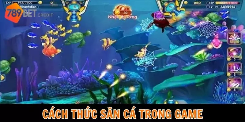 Cách thức săn cá trong game