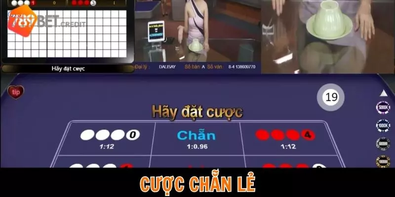 Cược chẵn lẻ