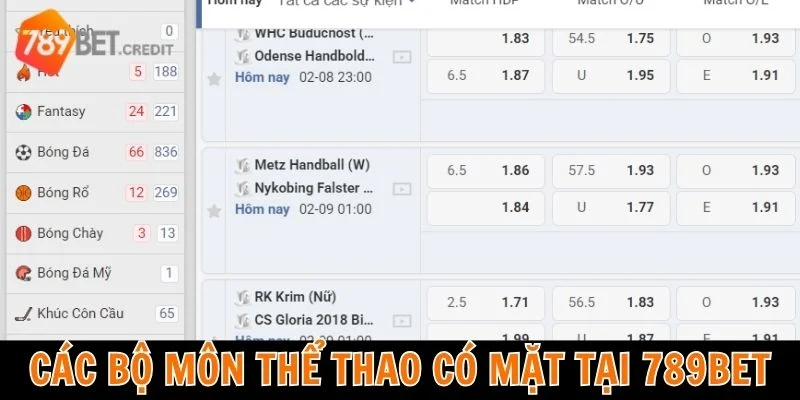 Các bộ môn thể thao có mặt tại 789bet
